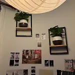 Lexyshouse - Warm Space In Ho Thi Ky Flower Market