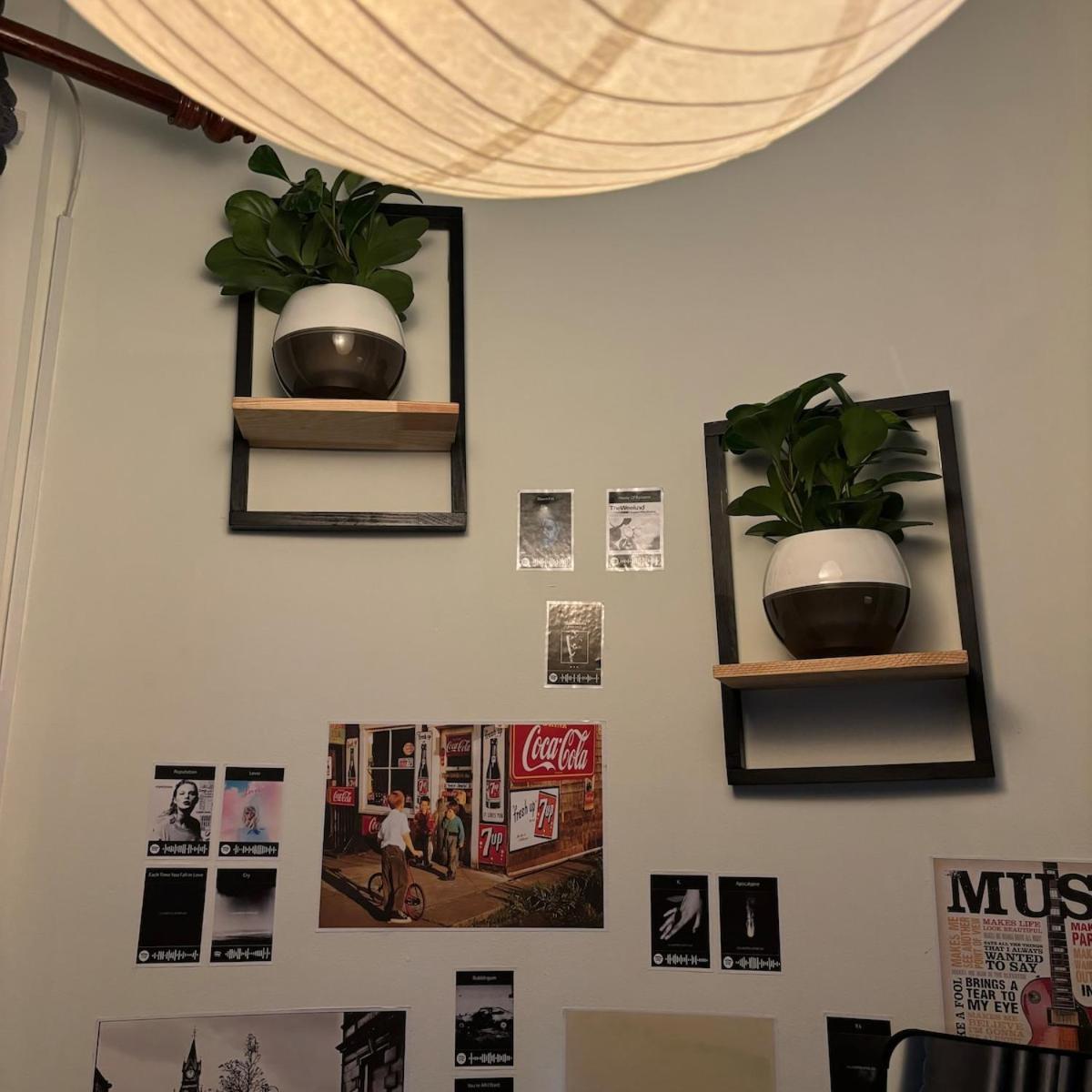 Lexyshouse - Warm Space In Ho Thi Ky Flower Market TP. Hồ Chí Minh