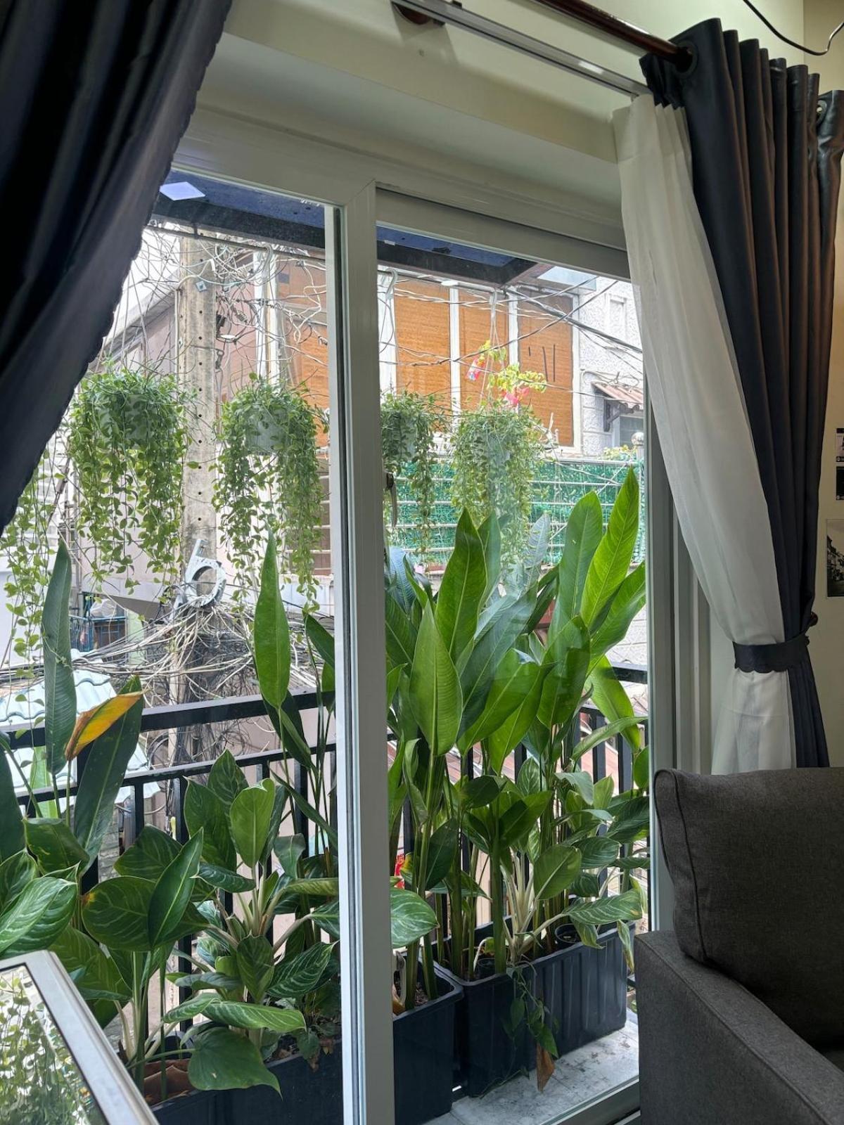 Căn hộ Lexyshouse - Warm Space In Ho Thi Ky Flower Market TP. Hồ Chí Minh