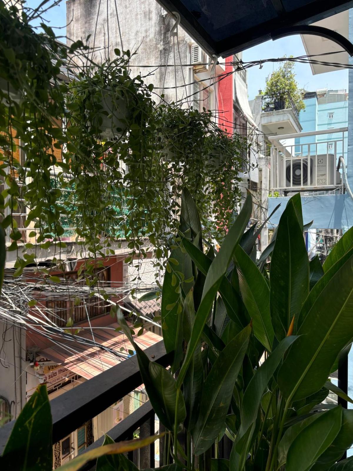 Lexyshouse - Warm Space In Ho Thi Ky Flower Market *